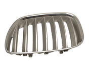 Rejilla izquierda capo BMW X5 E53 - 10627110