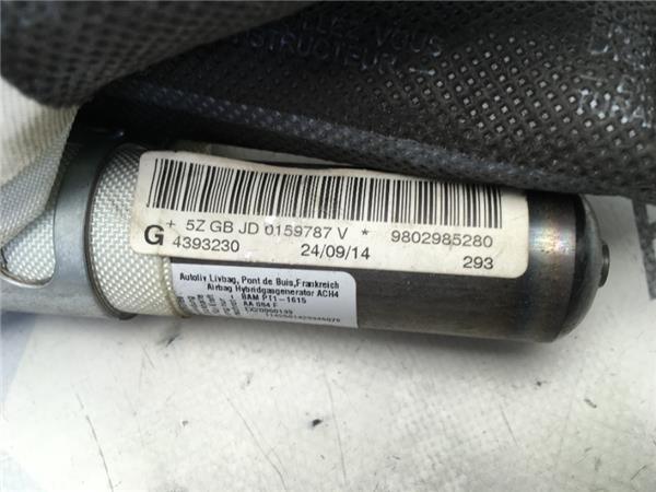Airbag cortina izquierdo Peugeot 508