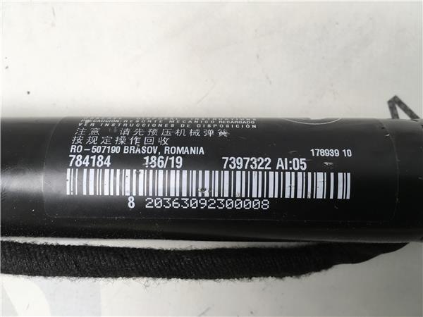 Amortiguador porton derecho Bmw X3 G01 - 7397322