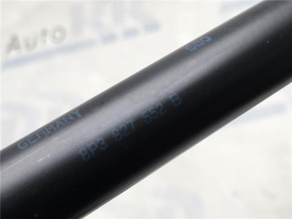 Amortiguadores Porton Audi A3 8P - 8p3827552b