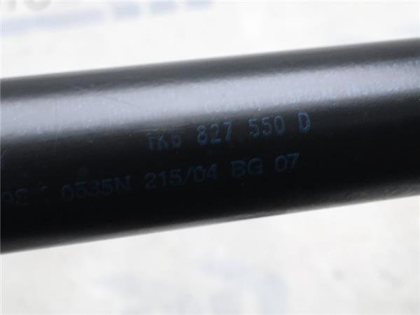 Amortiguadores Porton VW Golf V - 1k6827550d