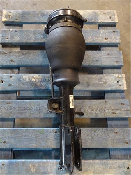 Balona delantera neumatica bmw x5 e53 - 37116761443