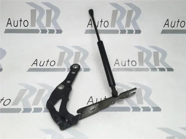 Bisagra capo derecha Bmw E46 coupe