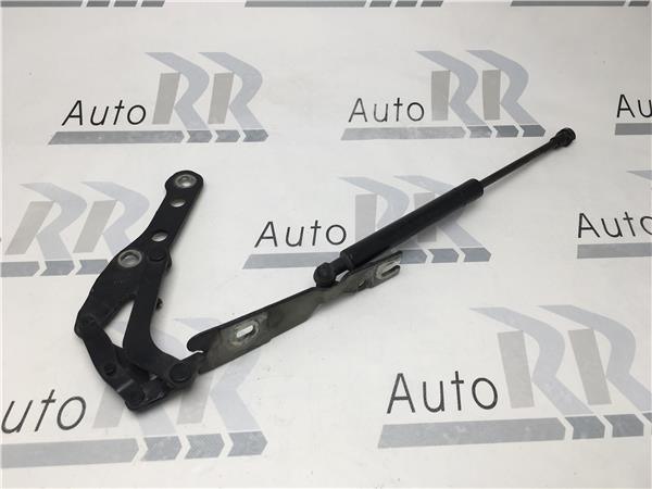 Bisagra capo derecha Bmw E46 coupe - 41618200124