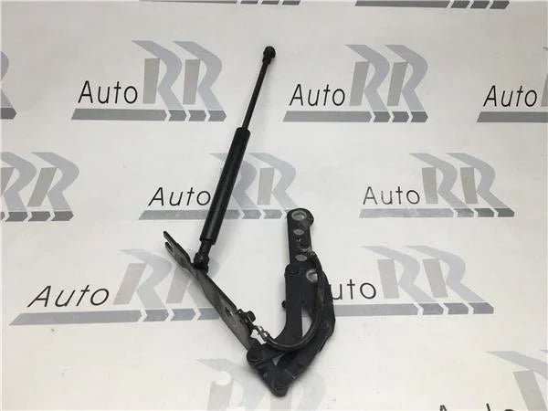 Bisagra capo Izquierda Bmw E46 coupe