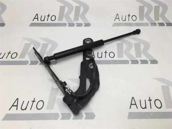 Bisagra capo Izquierda Bmw E46 coupe - AutoRR 41618200123