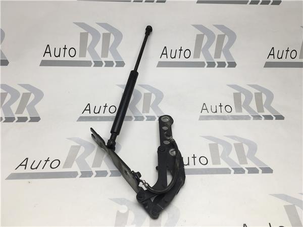 Bisagra capo Izquierda Bmw E46 coupe - AutoRR 41618200123