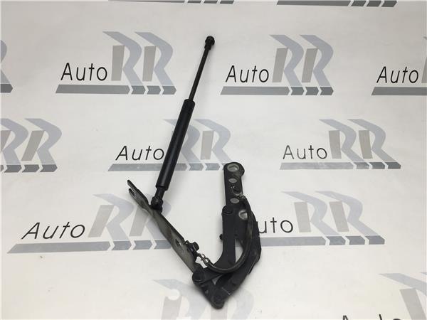Bisagra capo Izquierda Bmw E46 coupe - 41618200123