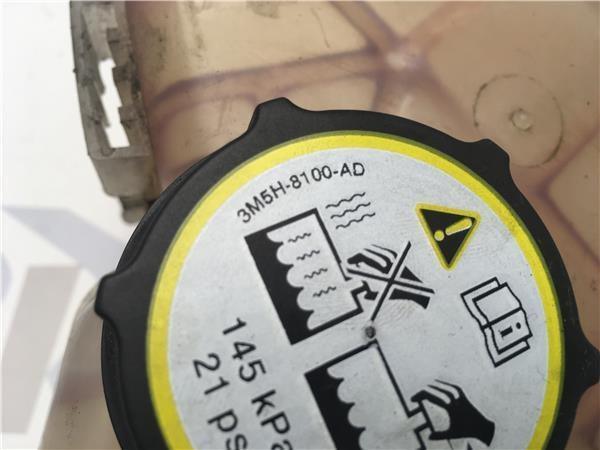 Botella expansion Ford Fiesta VI - 3m5h8100ad