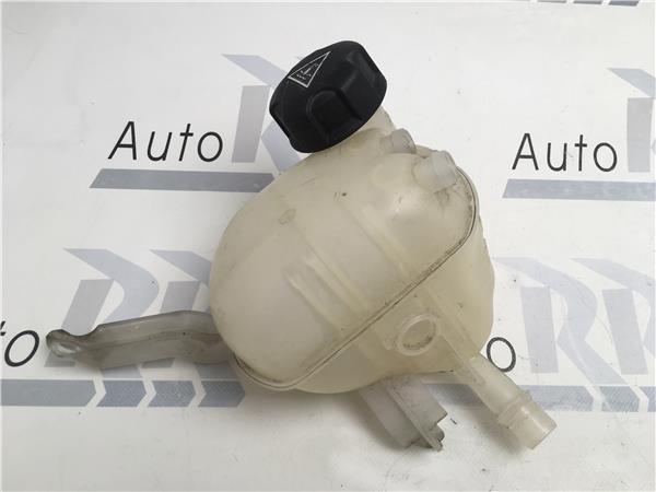 Botella expansión Peugeot 508 - 