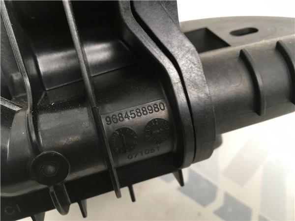 Caja termostato PSA 9684588980