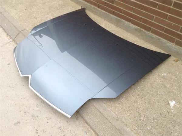 Capo delantero citroen c6 - 