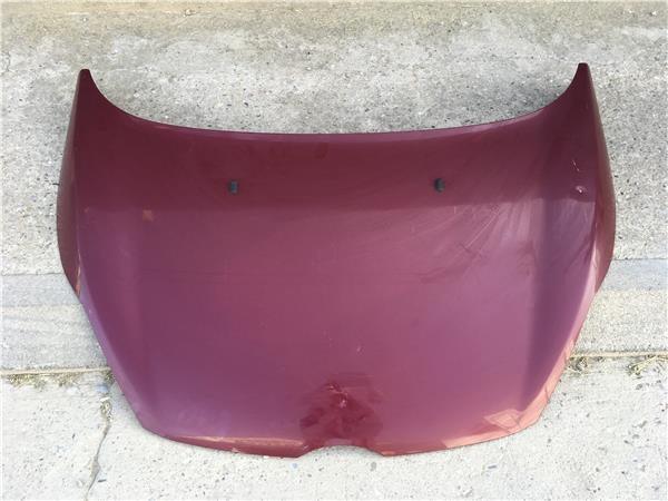 Capo delantero Ford Fiesta VI - 