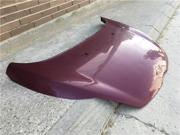 Capo delantero Ford Fiesta VI - 