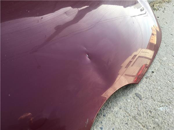 Capo delantero Ford Fiesta VI - 