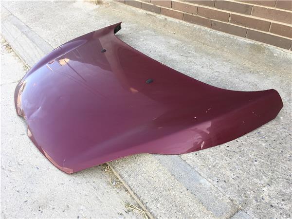 Capo delantero Ford Fiesta VI - 