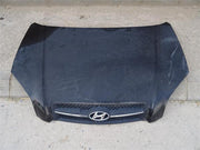 Capo delantero hyundai tucson - 