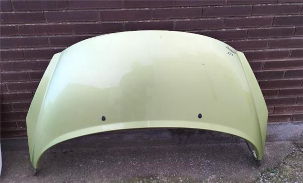 Capo delantero Peugeot 207 - 