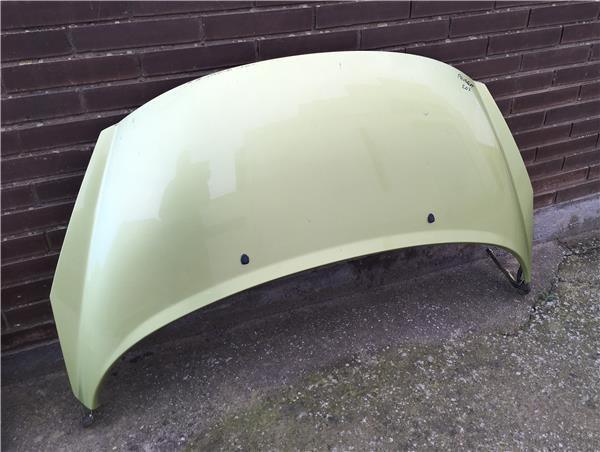 Capo delantero Peugeot 207