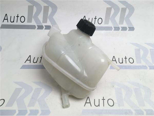 Deposito expansion Nissan Qashqai J11 - 217114EA0A