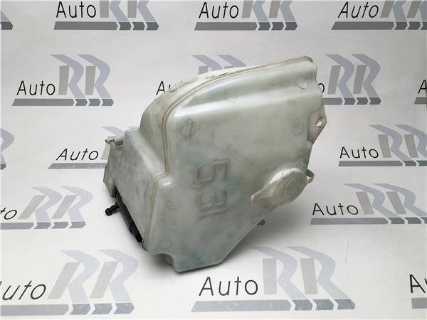 deposito limpia Bmw Serie 3 E46