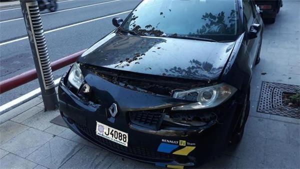 Despiece renault megane ii rs f1 - 