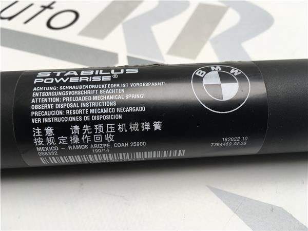 Elevador electrico Izq Bmw X5 F15 - 7294469