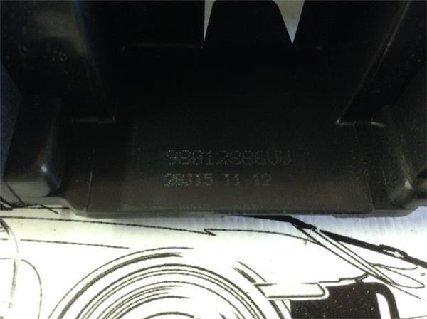 Maneta interior tras izquierda c4 cactus - 98012886vv