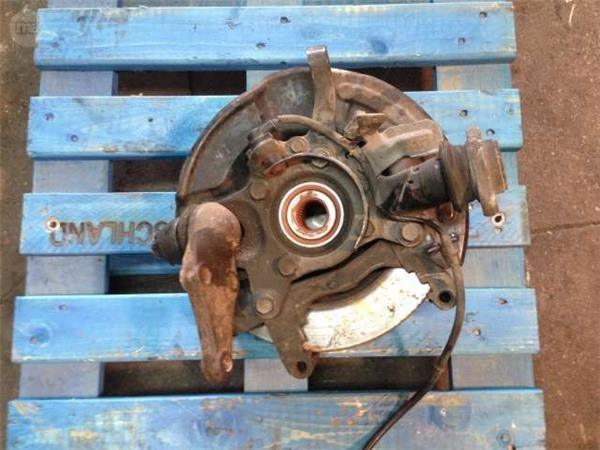 Mangueta del derecha montero did - 