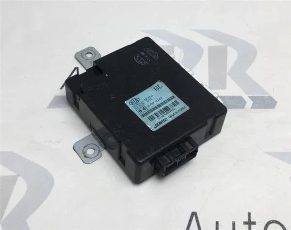 Modulo confort Kia 954003e300