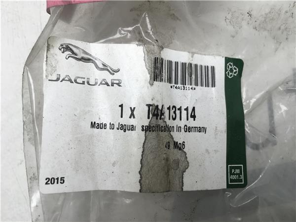 Moldura cromada puerta trasera derecga F