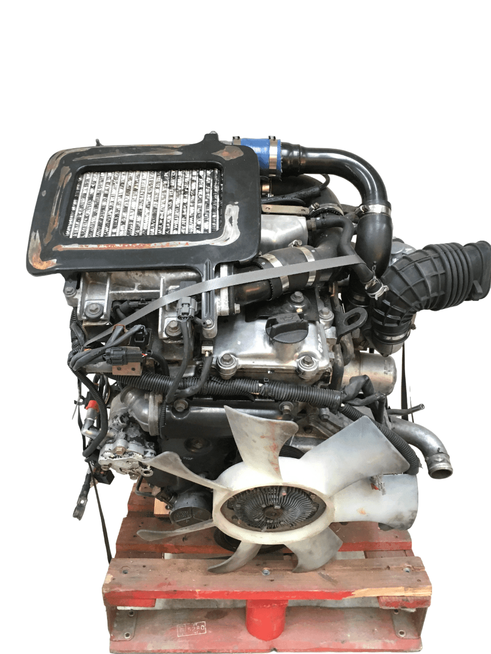 Motor 3.0DI Nissan Patrol Y61 ZD30 - AUTORR E-MOTION PARTS SL ZD30
