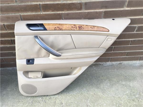 Panel puerta trasero dcho Bmw X5 E53 - 51428408570