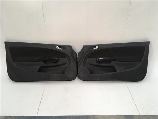 Paneles puerta Opel Corsa D - 13232891