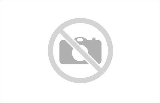 Porton trasero volkswagen golf iv - 