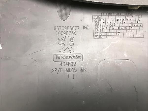 Tapa salpicadero Peugeot 508 - 9670985677