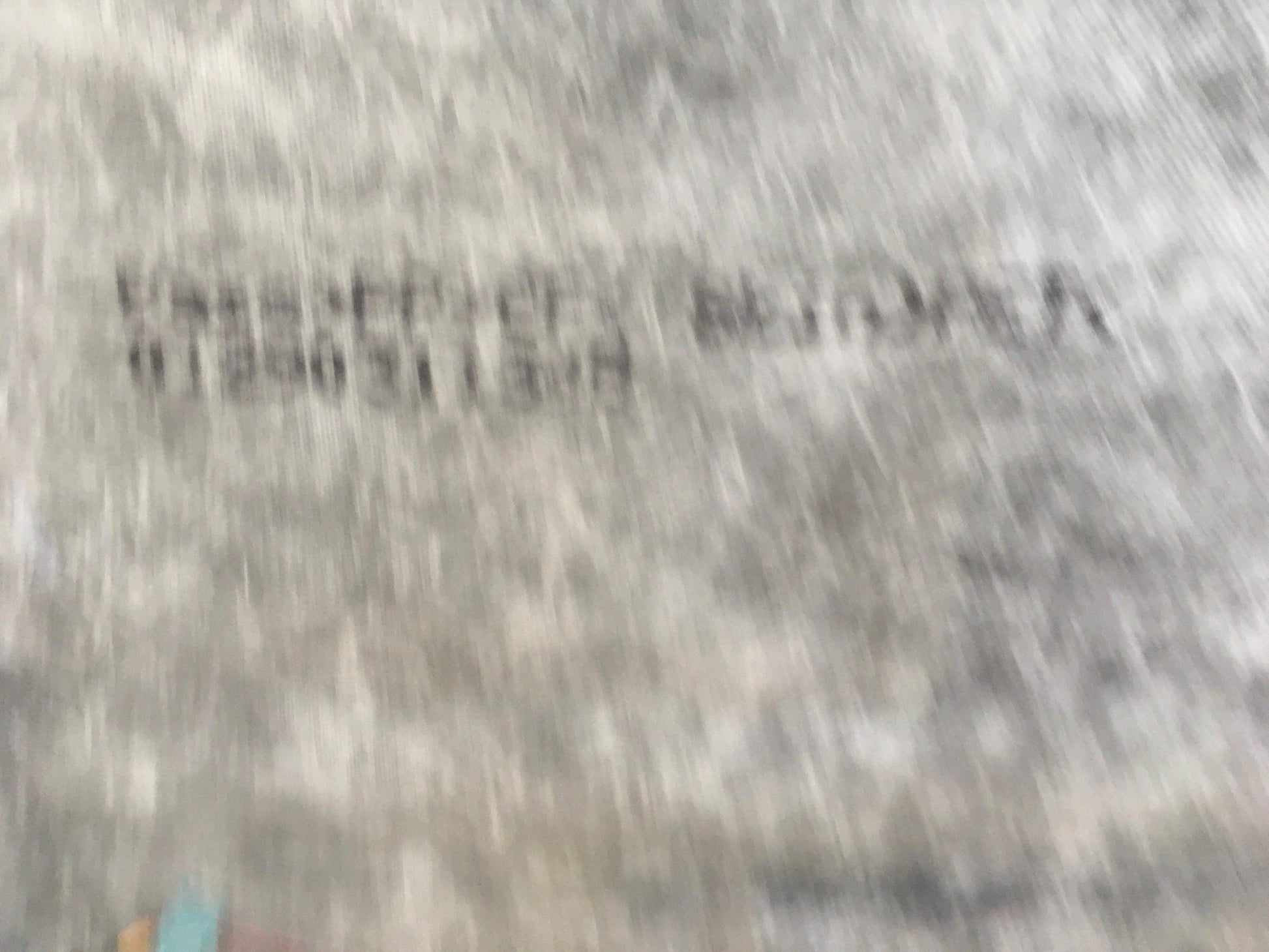 Techo interior Toyota Rav4 XA20 - Techo interior rav4 2